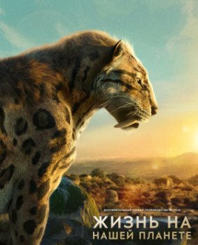 Жизнь на нашей планете